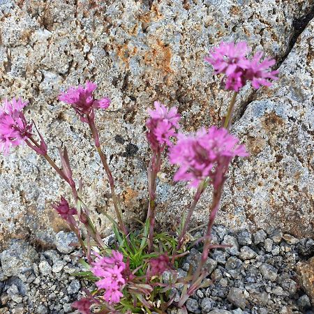 Aktiv Ferie I Vesteralen, Hovden 8475 Straumsjoen 外观 照片